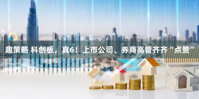 趣策略 科创板，真6！上市公司、券商高管齐齐“点赞”